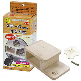 楽天市場 チンチラ 歯の通販