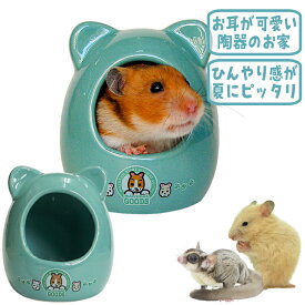 ゴールデンハムスターのおへや