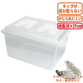 飼育ケース(特大) 幅43cm