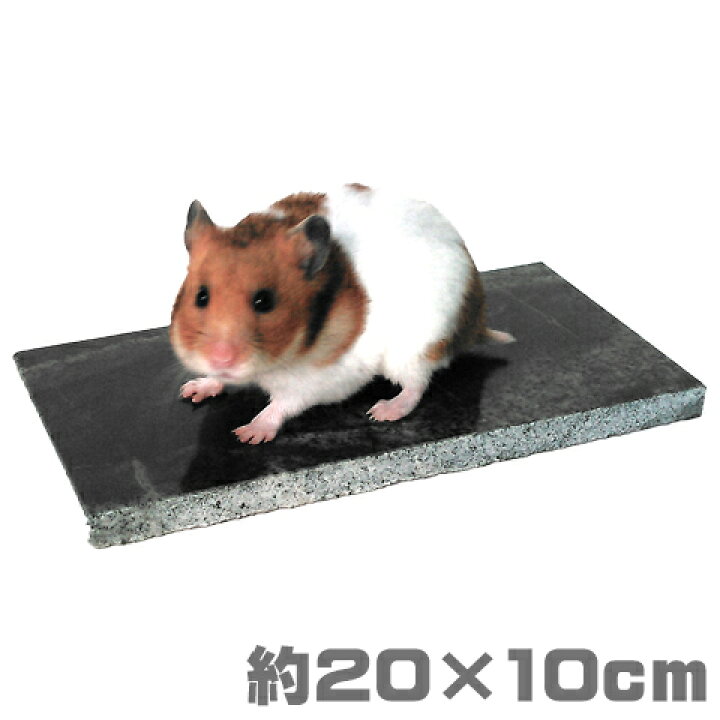楽天市場 アウトレット品 傷 カケあり ストーンベッド ゴールデン 天然石 御影石 ひんやり クール 夏 涼感 冷える 涼しい ひんやりマット ひんやりベッド ゴールデンハムスター リス モモンガ ジャービル 小動物専門店ヘヴン