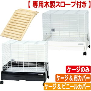 yX[vtzC[W[z[EVO 60@yP[Ŵ E P[Wrj[Jo[ E P[WzJo[zyx̂2܂Łz