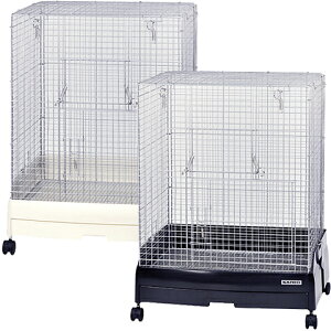 C[W[z[60nCbVyx̂1܂Łz