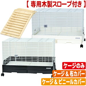 yX[vtzC[W[z[EVO 80@yP[Ŵ E P[Wrj[Jo[ E P[WzJo[zyx̂1܂Łz