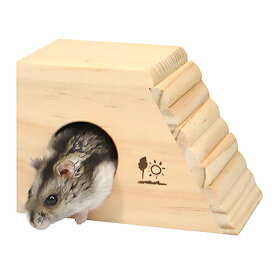 ウッドハウス プチスロープF