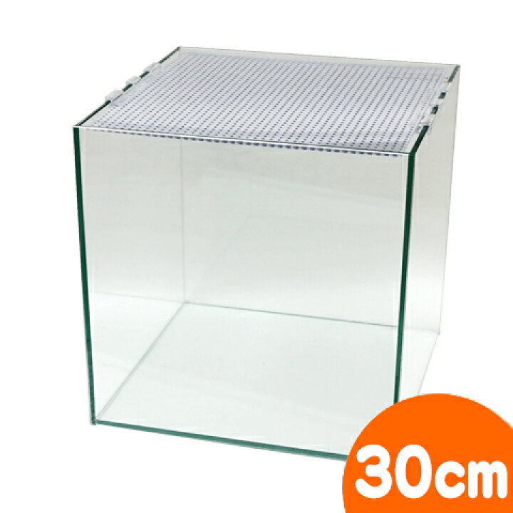 高級品市場 ふた付きアクリルハムスターハウス ダブルレイヤー Shipsctc Org