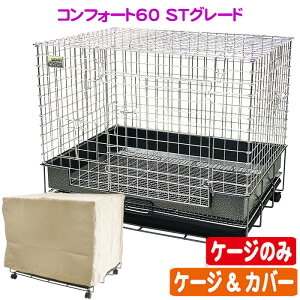 RtH[g60 STO[h@yP[Ŵ E P[WJo[zyx̂2܂Łz