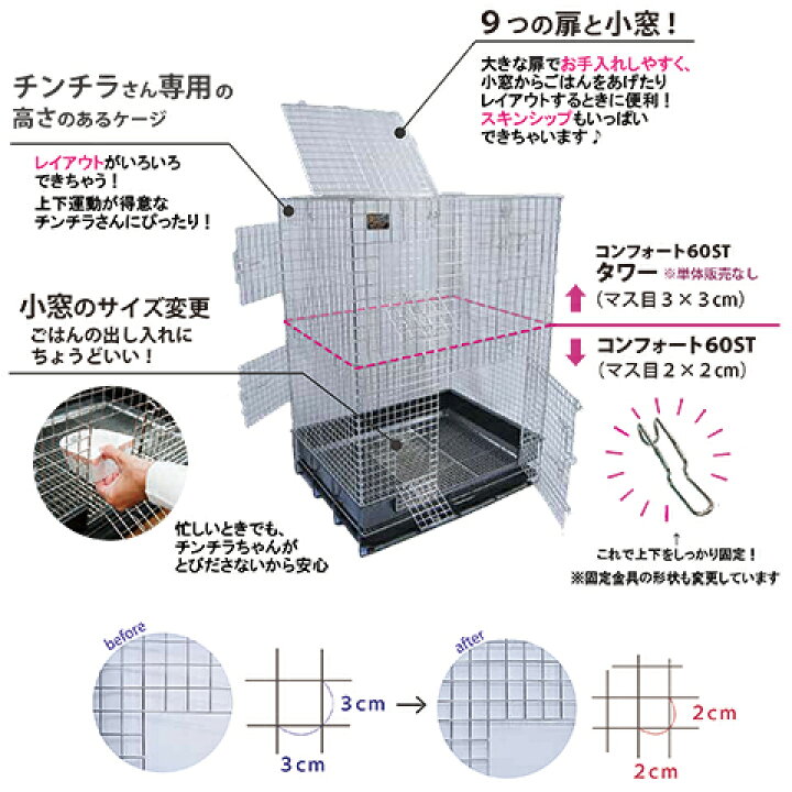 楽天市場】【数量限定特価セール中！】コンフォートチンチラスペシャル 