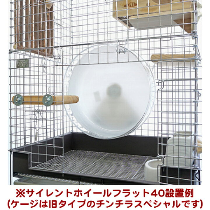 楽天市場】コンフォートチンチラスペシャル STグレード【一度のご注文  