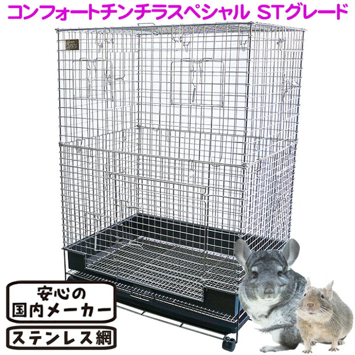 楽天市場】【数量限定特価セール中！】コンフォートチンチラスペシャル 