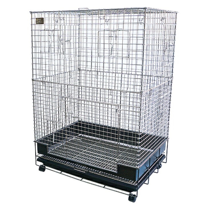 楽天市場】コンフォートチンチラスペシャル STグレード【一度のご注文  