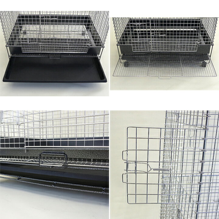 楽天市場】コンフォートチンチラスペシャル STグレード【一度のご注文  