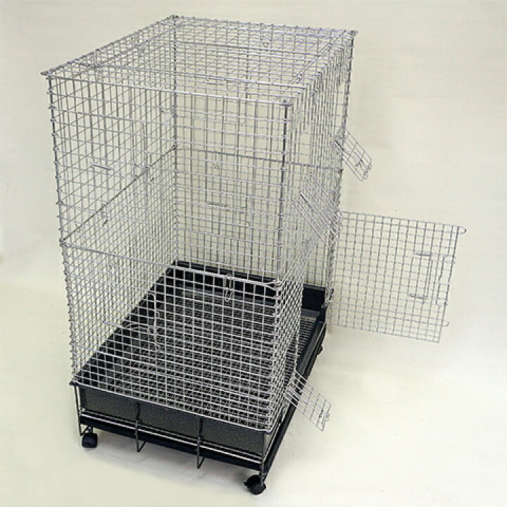 楽天市場】コンフォートチンチラスペシャル STグレード【一度のご注文  