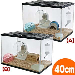 400HighVKA6_Zbgyx̂2܂Łz