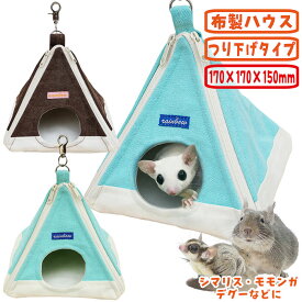 レインボー とんがりハウス
