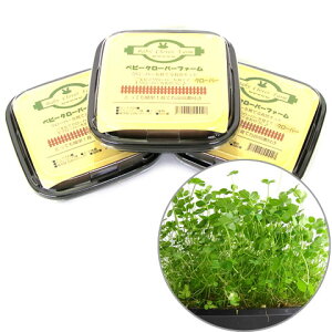 xr[N[o[t@[y3ZbgE1495~z