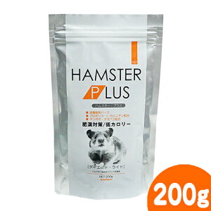 yAEgbgEܖ2026N3znX^[vX@_CGbgCg