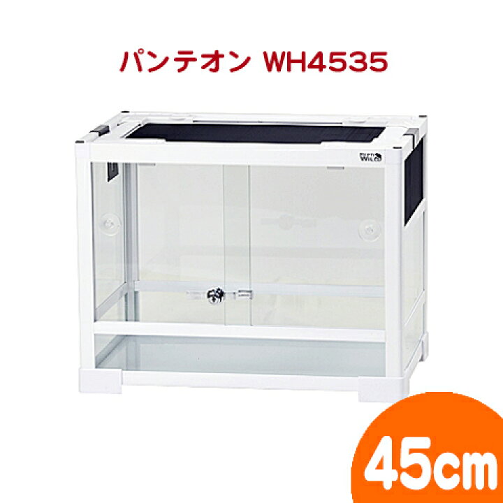 楽天市場】パンテオン ホワイト WH4535【一度のご注文で2個まで 