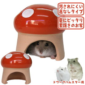 素焼きハウス（きのこ）