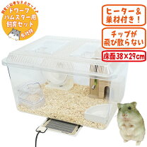 楽天市場】ハムスター 床材（ケージ｜小動物用品）：ペット・ペット 