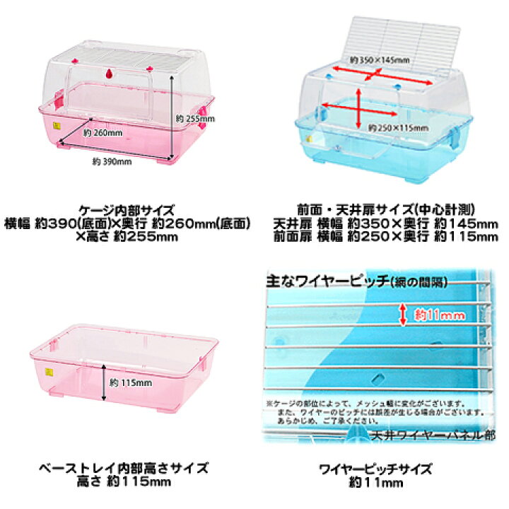 楽天市場】【数量限定特価セール中！】ルーミィ : 小動物専門店ヘヴン
