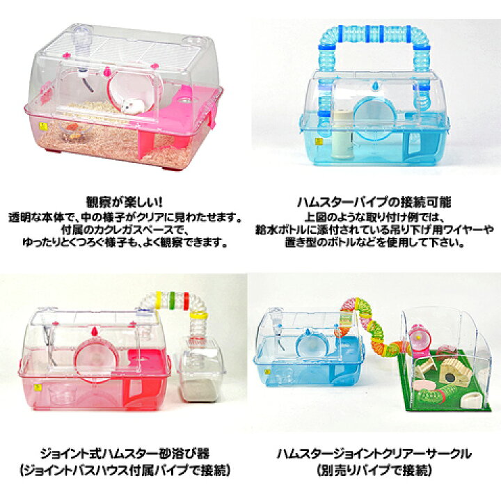 楽天市場】【数量限定特価セール中！】ルーミィ : 小動物専門店ヘヴン