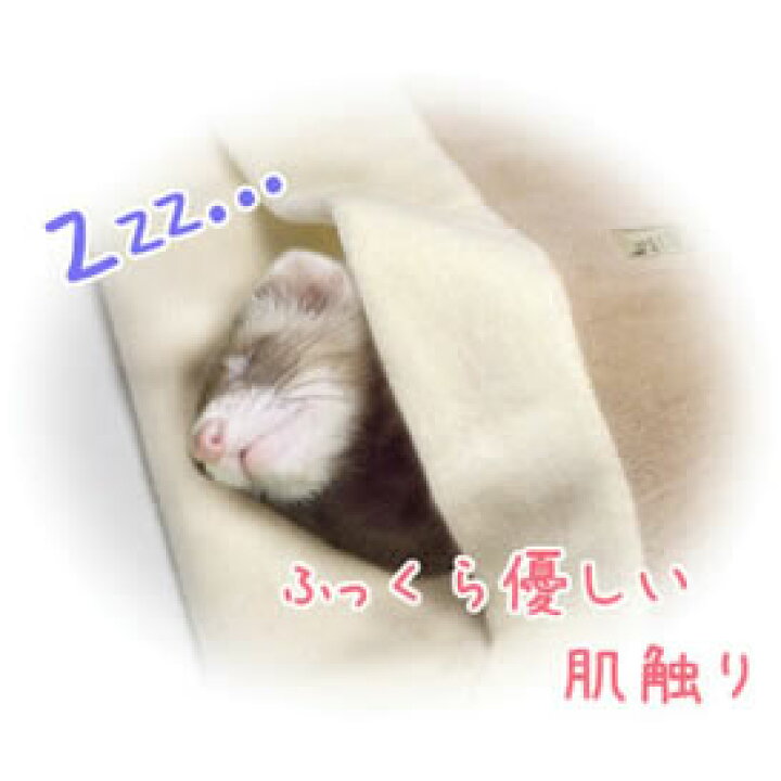 らくサポ ふっくらフロアマット/介護 サポート 高齢 静養 マットレス ベッド うさぎ フェレット モルモット サンコー SANKO WILD 三晃商会 小動物専門店ヘヴン SANKO らくサポ ふっくらフロアマット