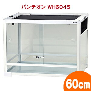 パンテオン ホワイト WH6045【一度のご注文で1個まで】