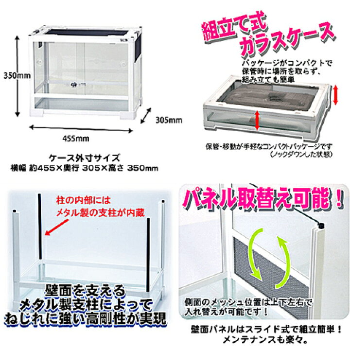 楽天市場】パンテオン ホワイト WH6045【一度のご注文で1個まで 