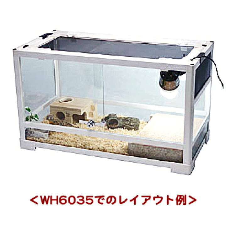 楽天市場】パンテオン ホワイト WH6045【一度のご注文で1個まで 
