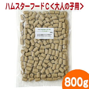 y12znX^[t[hCl̎qp800g