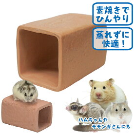 テラコッタトンネル S
