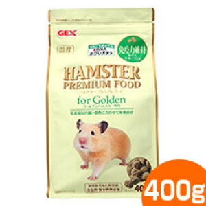 GEX nX^[v~At[h S[fnX^[p