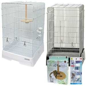 C[W[z[R37nCyHE{gZbgz