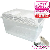 楽天市場】昆虫 飼育ケースの通販