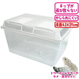 飼育ケース(超特大) 幅50cm/スーパー特大