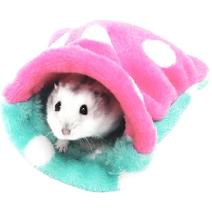 yʌZ[zC{[ ~jAj} ӂQԂ S