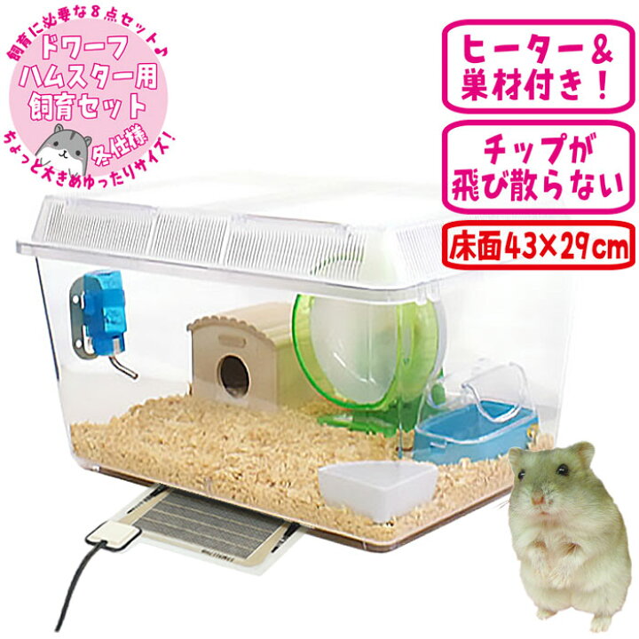 楽天市場】ジャンガリアンハムスター飼育セット【ゆったり】【冬仕様 