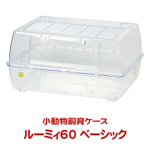 [~B60 x[VbNyx̂1܂Łz