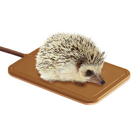 CASA ハリネズミのリバーシブルヒーター