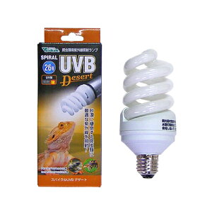 XpCUVB fU[g 26W
