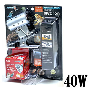 NbvX^h }CNE}CNCtbh40W vZbg