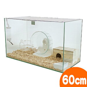 600nX^[HIGH S[fnX^[ZbgIIyAF{gzyx̂1܂Łz/P[W Q[W P[X LN}