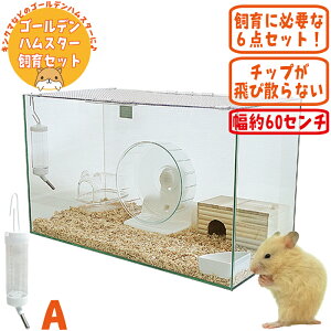 ハムスター飼育セット 鳥かご ケージ」の人気商品一覧 | 安い商品を 
