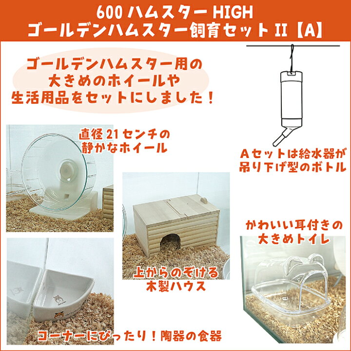 楽天市場】600ハムスターHIGH ゴールデンハムスター飼育セットII【A 