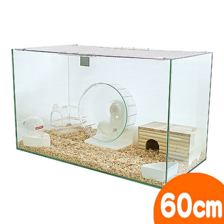 楽天市場】600ハムスターHIGH ゴールデンハムスター飼育セットII  