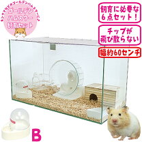 楽天市場】ハムスター飼育セットの通販