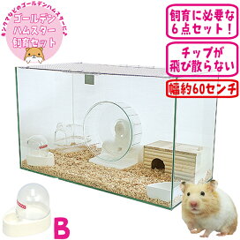 楽天市場】【数量限定特価セール中！】グラスハーモニー600N : 小動物 