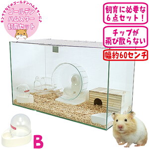 ハムスター飼育セット 鳥かご ケージ」の人気商品一覧・価格比較 