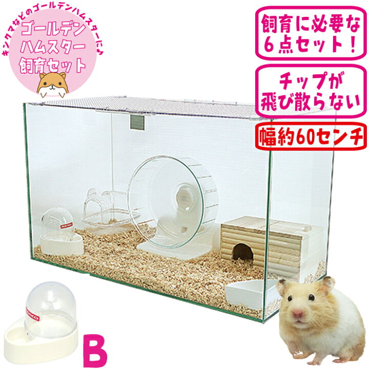 楽天市場】600ハムスターHIGH ゴールデンハムスター飼育セットII【B 