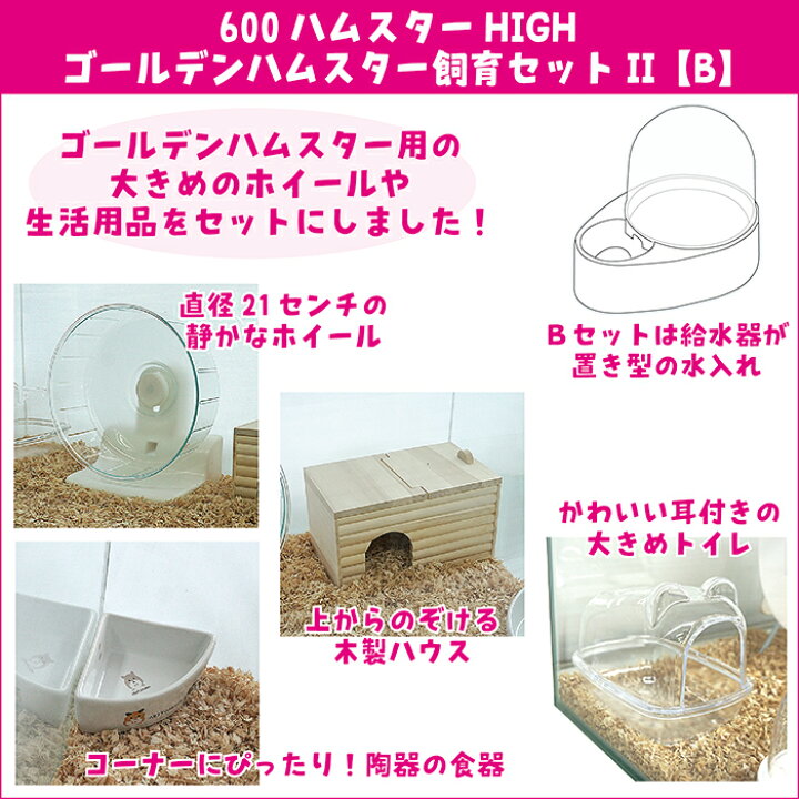 楽天市場】600ハムスターHIGH ゴールデンハムスター飼育セットII【B 